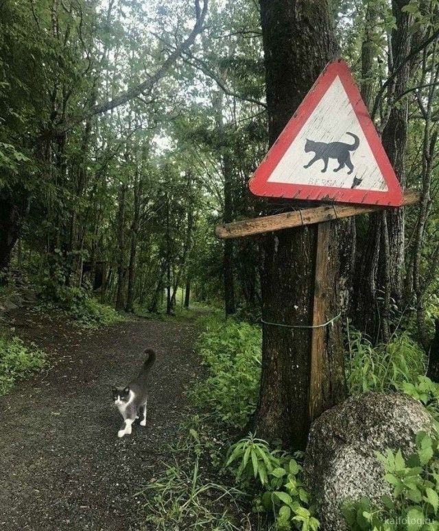 Create meme: funny road signs, funny road signs , unusual road signs