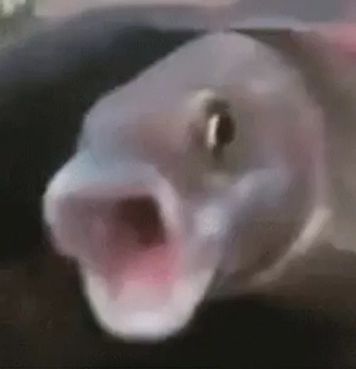 Создать мем: pog meme, funny fish, emote