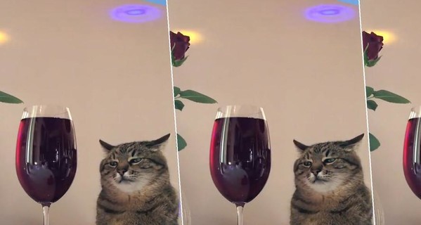 Create meme: a glass of wine, cat with wine, cat with a glass