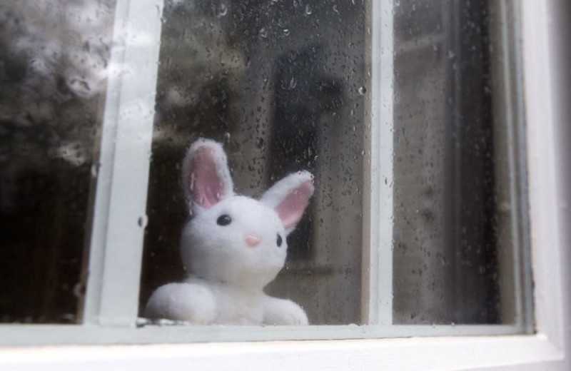 Создать мем: кролик смотрит в окно, игрушка кролик, зайка