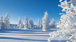 Create meme: winter nature, winter beautiful, winter snow