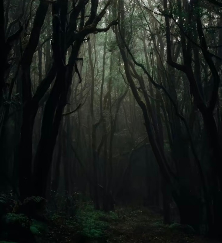 Создать мем: жуткий лес, страшный лес, мрачный лес