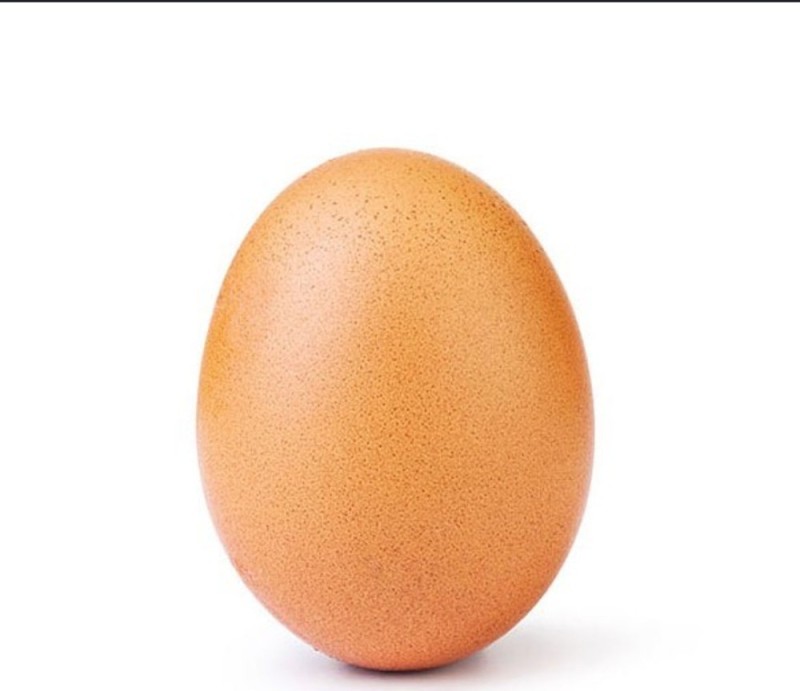 Создать мем: самое популярное яйцо, яйцо на белом фоне, фотография яйца