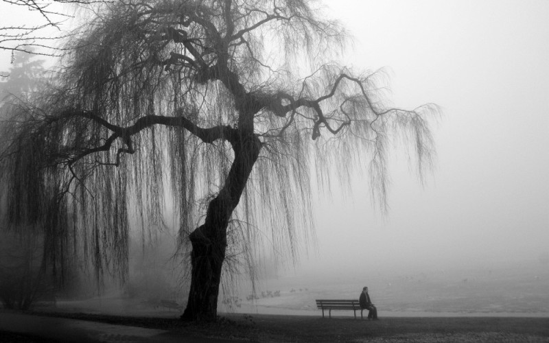 Создать мем: деревья в тумане, грусть, грустный пейзаж