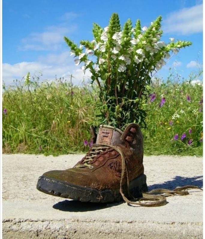 Создать мем: привет от старых штиблет, полевые цветы и ботинки, ботинки