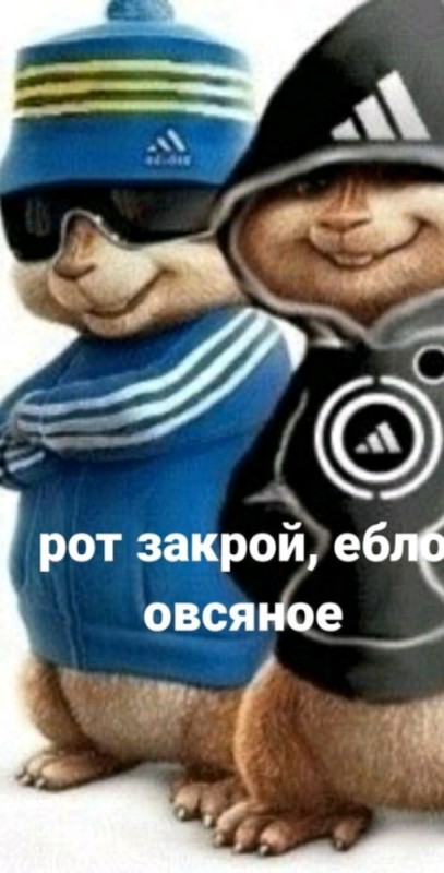 Create meme: Alvin and the chipmunks Adidas, Alvin and the Chipmunks meme, Alvin and the chipmunks