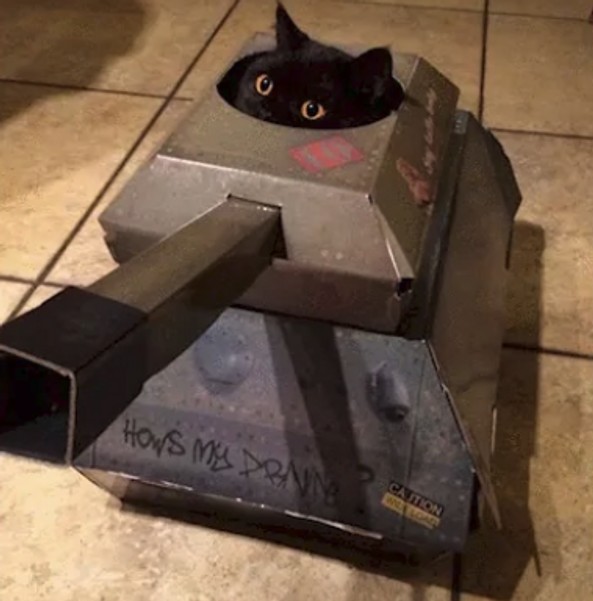 Create meme: the cat in the tank , cat tank, cardboard tank