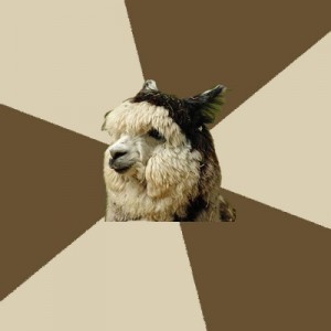 Create meme: alpaca, Fyeahknittingalpaca