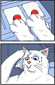 Create meme: elections, the life of a cat, meme