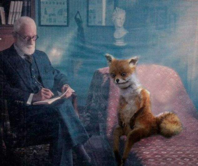 Create meme: Sigmund Freud , Fox meme, a fox on a chair