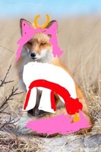 Create meme: Fox, Fox, Fox