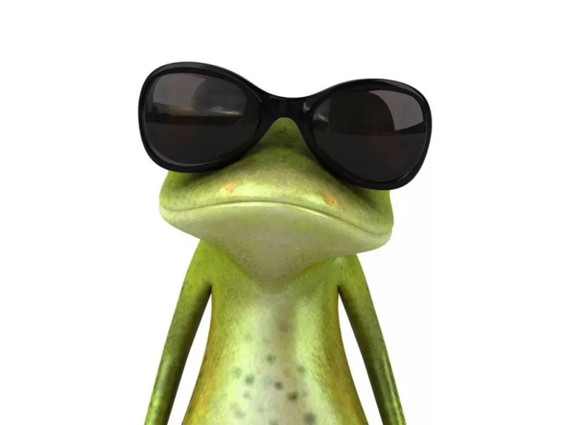 Создать мем: лягушка с очками