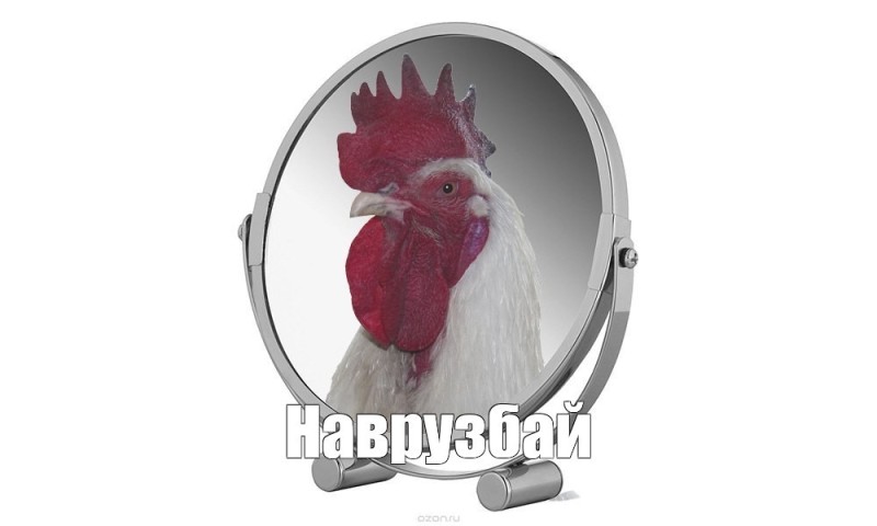 Create meme: rooster , rooster on a white background, the head of the cock 