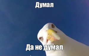Создать мем: мем чайка, человек чайка, seagull