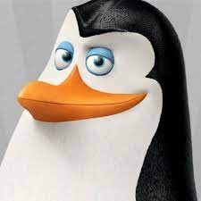 Create meme: the penguins of Madagascar Kowalski, the penguins of Madagascar, the penguins of Madagascar Kowalski