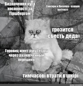 Create meme: hopelessness, cat meme hopelessness, cat despair