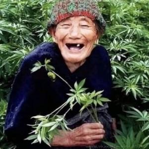 Create meme: people, funny humor, grandma marijuana