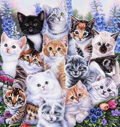 Создать мем: кошка, очаровательные котята, животные милые