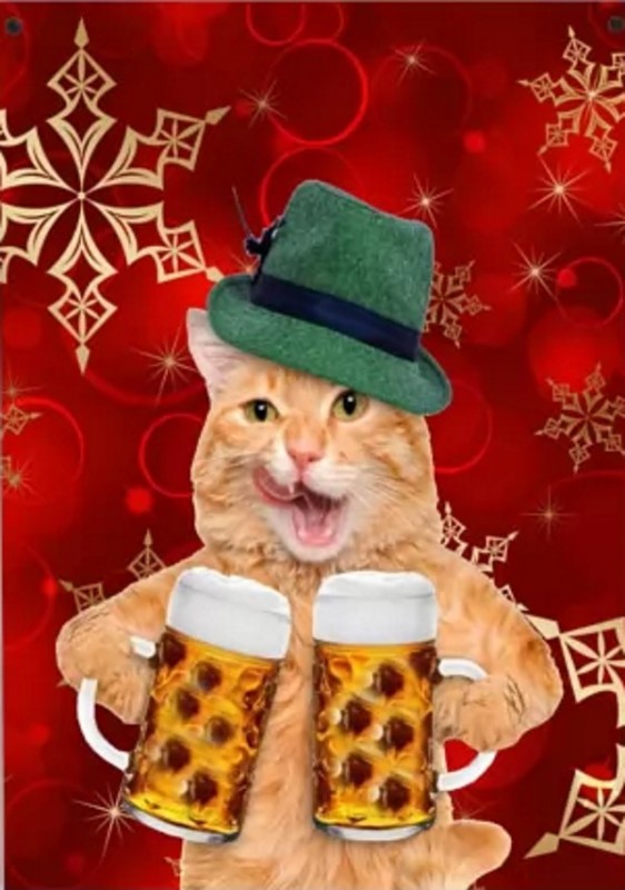 Create meme: cat , cat with beer art, beer cat