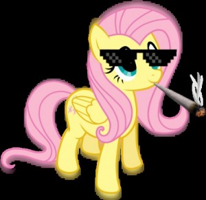 Create meme: fluttershy, Friendship is a miracle, pony fluttershy without background
