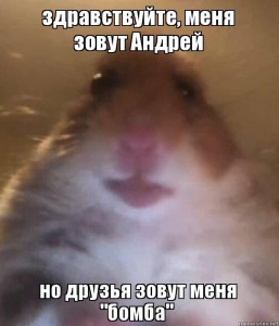 Create meme: the hamster watches, selfie hamster meme, hamster
