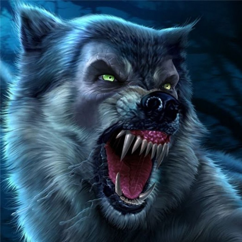Создать мем: волк оскал арт, злой черный волк, свирепый волк