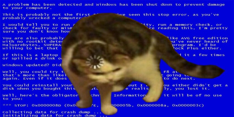 Создать мем: кот, экран, мем кот