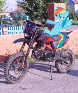 Create meme: pit bike, crf, Rainbow pony