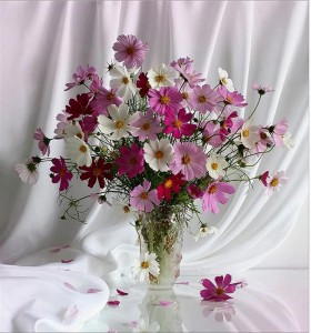Create meme: kosmeya, still life, happy birthday card flowers