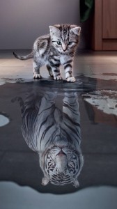 Create meme: cat, tiger, little tiger