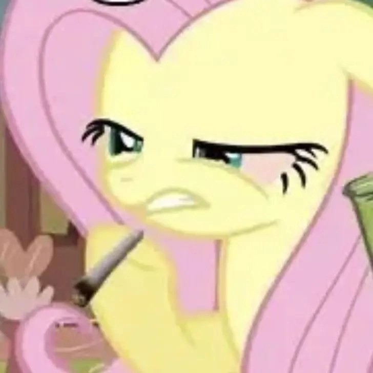 Create meme: fluttershy , fluttershy pony , fluttershy grey