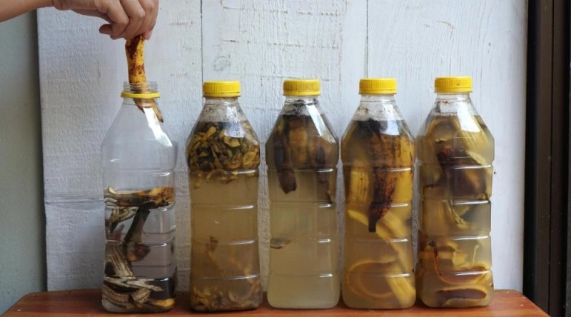 Create meme: Chinese vodka with snake and ginseng, Chinese vodka with a snake, Chinese bamboo vodka