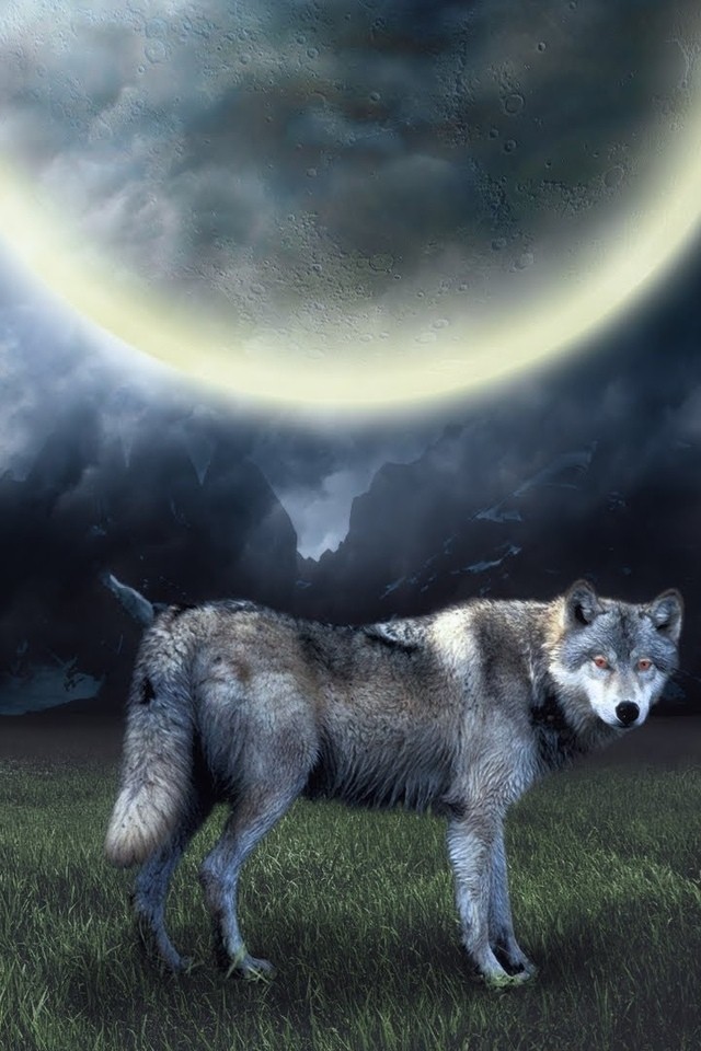 Ночь волков читать. Волк в ночи. Полнолуние волк. Волк коллаж. Волк Мем.