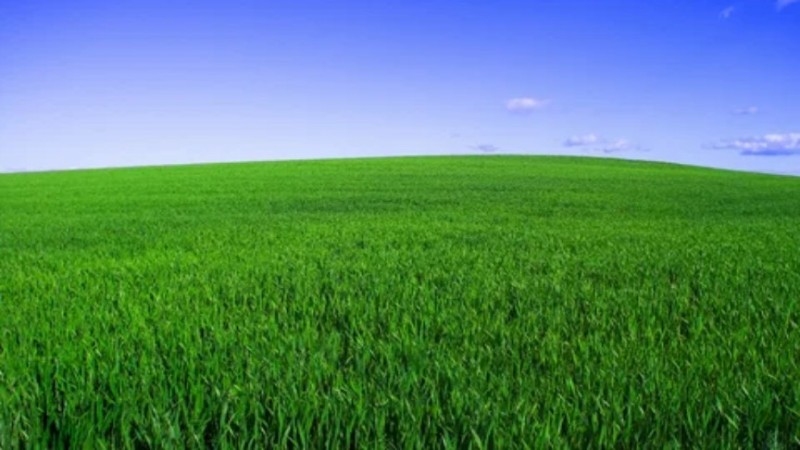 Create meme: green field, grass field, The green horizon