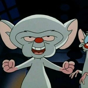 Create meme: pinky and brain Billy, pinky and brain