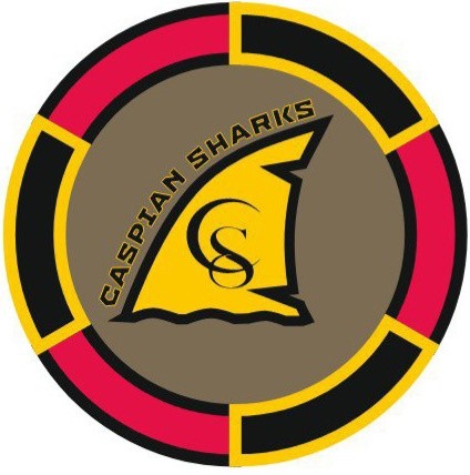 Create meme: football club Sparta Krasnoyarsk, sports logos, logo 