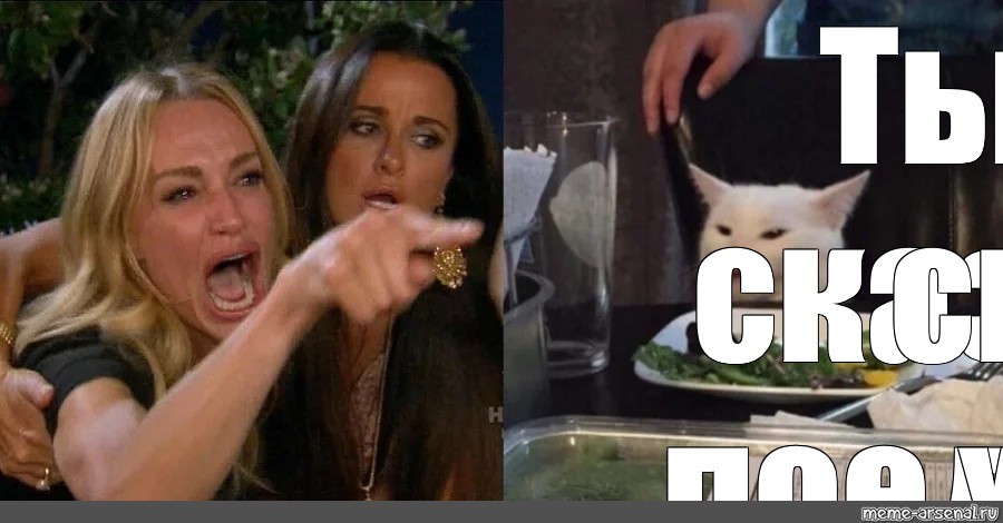 Мем с котом и женщиной. Мем женщина и кот за столом. Мем с женщиной и котом. Орущий кот за столом Мем. Мем с котом и двумя женщинами отдельно.