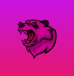Create meme: bear logo, Panda mascot logo, logo for the clan bear