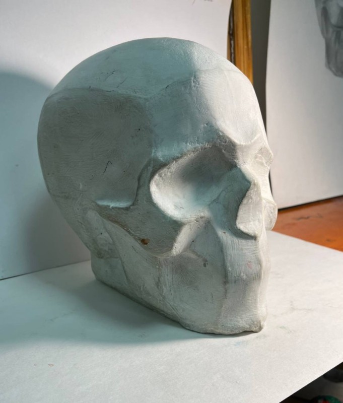 Create meme: stumping of the skull, The stumping of the skull is academic, 3d skull stumping