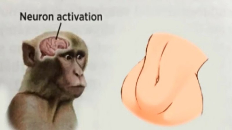 Создать мем: neuron activation meme, neuron activated мем, neuron activation мем