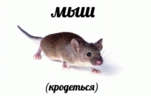 Создать мем: мемы, мыша, животное
