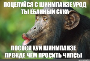 Создать мем: шимпанзе pan troglodytes, самка шимпанзе, губы шимпанзе