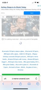 Create meme: Leonardo DiCaprio raises a glass, DiCaprio with a glass, a screenshot of the text
