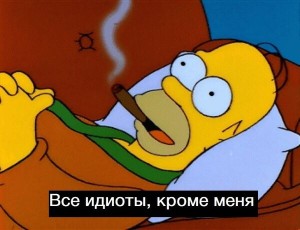 Create meme: Homer Simpson, Homer Simpson stupid, Homer