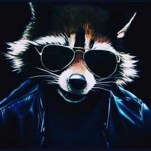Создать мем: еноты, raccoon art, крутой енот