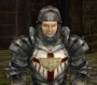 Create meme: Gothic armour of the paladin, Gothic Lord Hagen, Lothar Gothic 2 you're not even a citizen