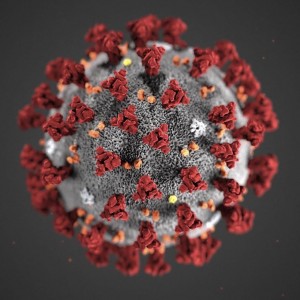 Create meme: corona virus under the microscope, coronavirus, virus