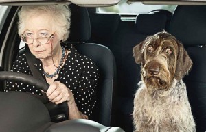 Создать мем: бабушка, собака, бабушка с собакой
