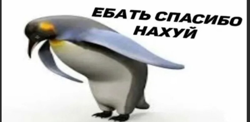 Создать мем: мем пингвин, мем пингвин спасибо, мемы