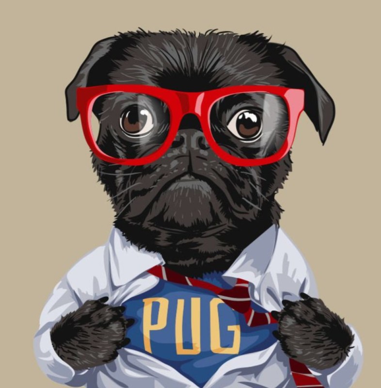 Создать мем: pug, картина мопс, мопс собака